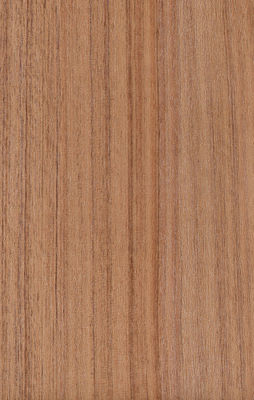 Parete di legno del grano di Mouldproof che riveste certificazione di pannelli materiale dello SGS del vergine di 100%